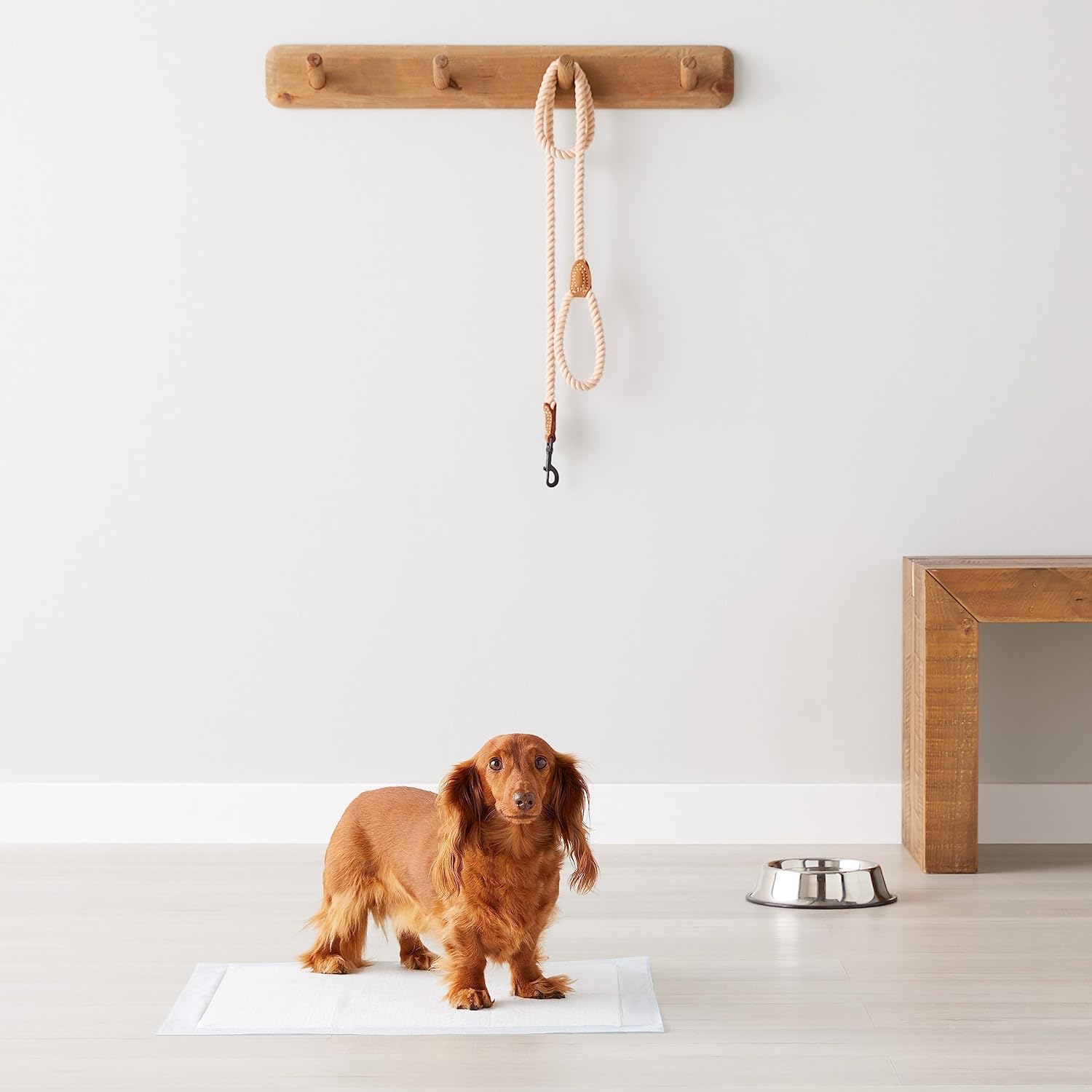 Basics Dog and Puppy Pee Pads